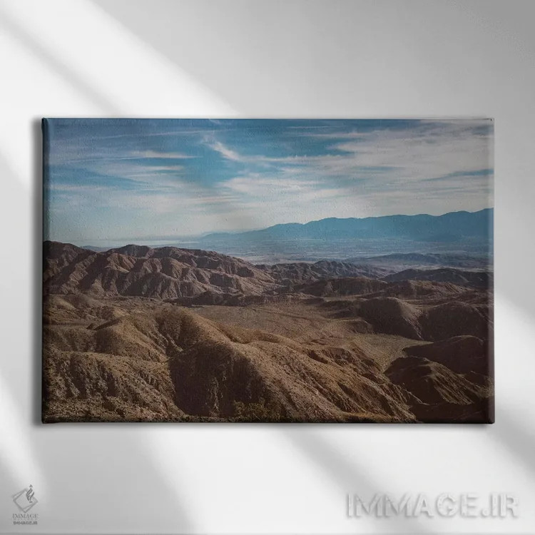 تابلو پارک ملی جاشوا تری بیست و هشتم اثر بثانی یانگ - نمای روبهرو روی دیوار