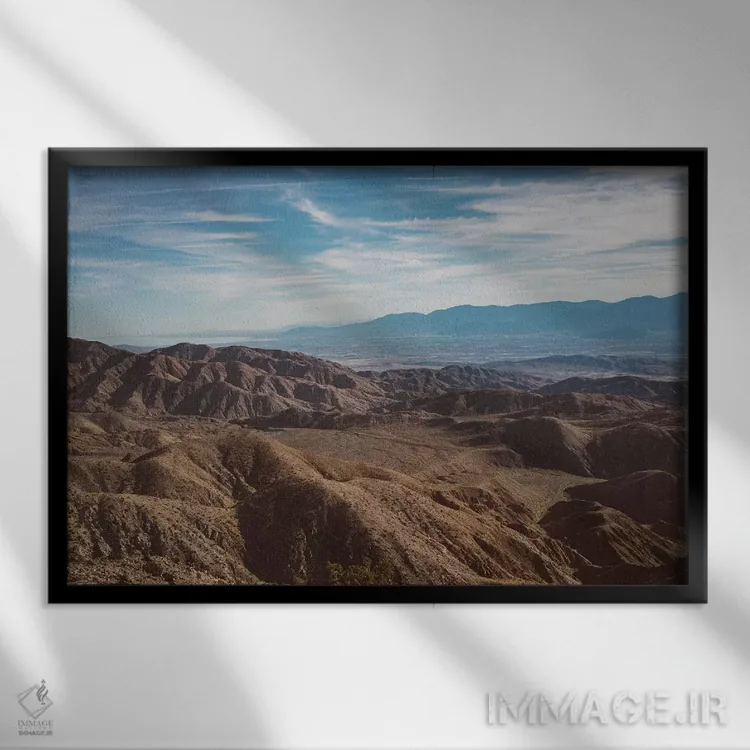 تابلو پارک ملی جاشوا تری بیست و هشتم اثر بثانی یانگ - نمای قابدار مشکی