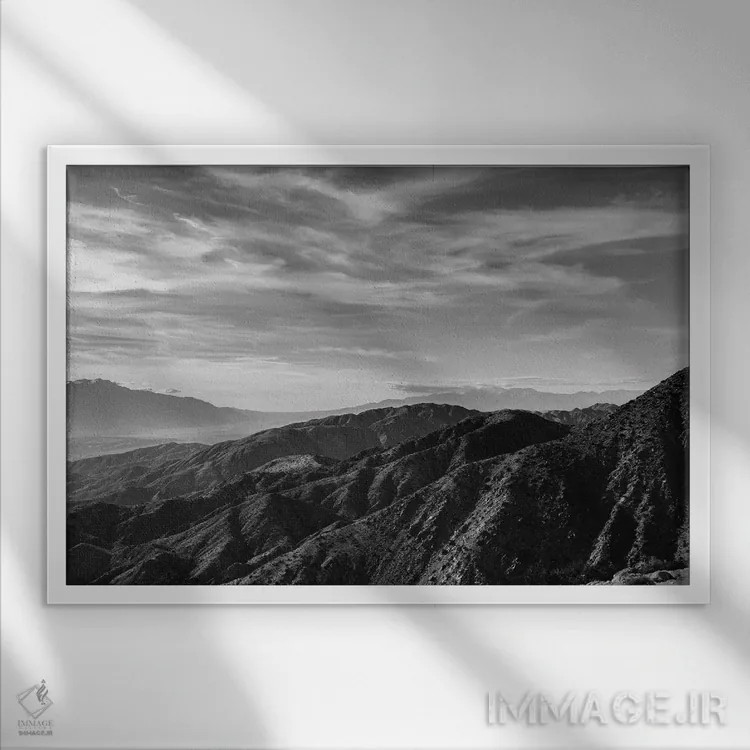 تابلو پارک ملی جاشوا تری بیست و هفتم اثر بثانی یانگ - نمای قابدار سفید