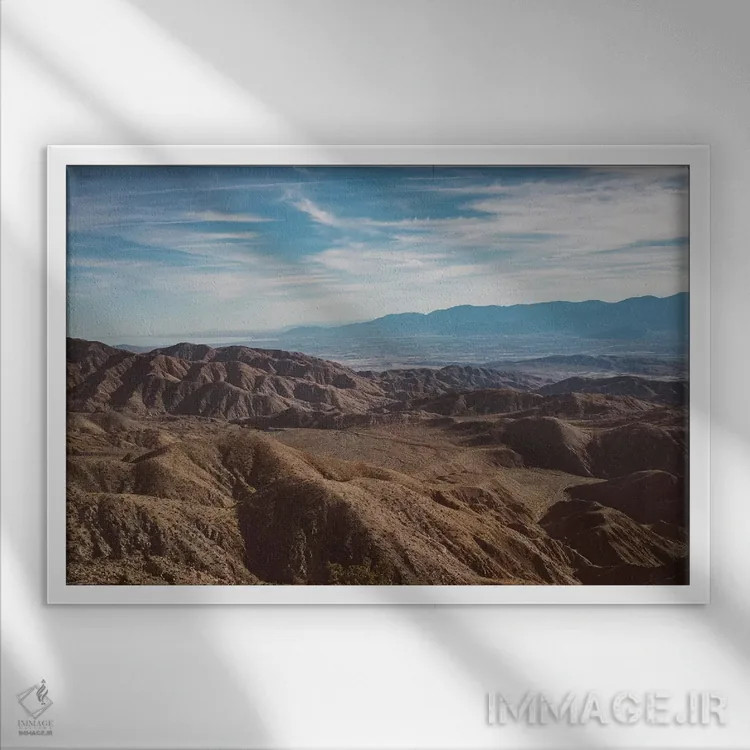 تابلو پارک ملی جاشوا تری بیست و هشتم اثر بثانی یانگ - نمای قابدار سفید