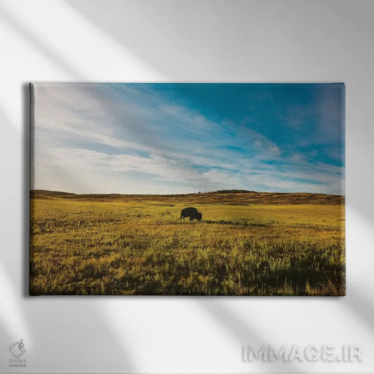 تابلو پادشاه تپه اثر بثانی یانگ - نمای روبهرو روی دیوار