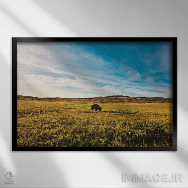 تابلو پادشاه تپه اثر بثانی یانگ - نمای قابدار مشکی