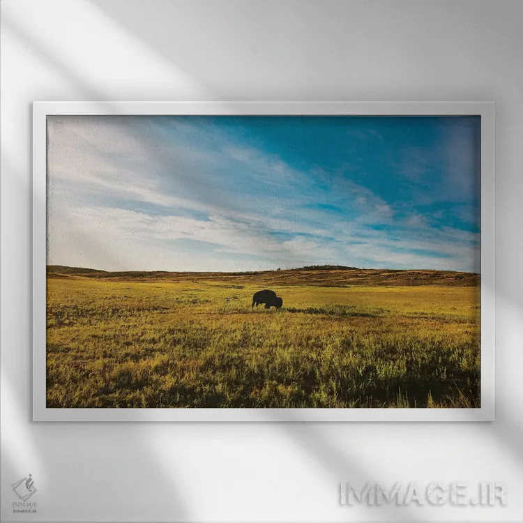 تابلو پادشاه تپه اثر بثانی یانگ - نمای قابدار سفید