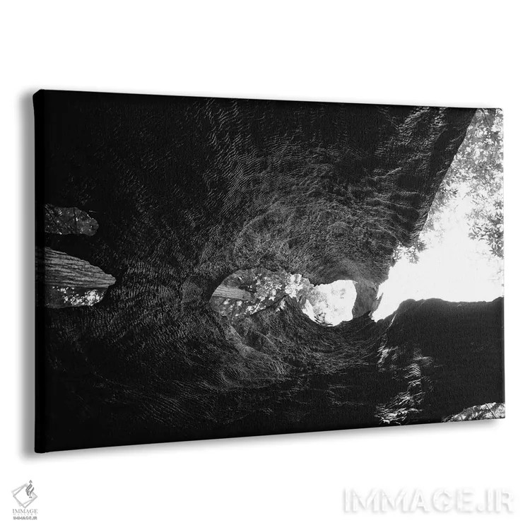 تابلو درون یک درخت سرخچوب اثر بثانی یانگ - نمای پرسپکتیو محصول