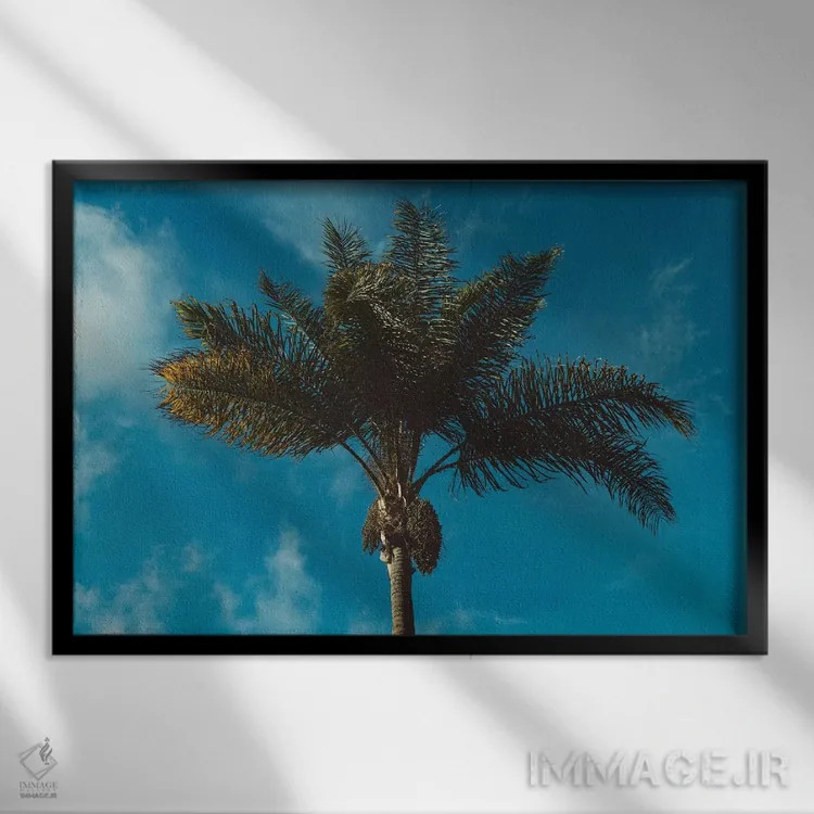 تابلو نخل دوم اثر بثانی یانگ - نمای قابدار مشکی