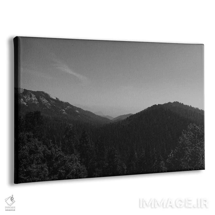 تابلو پارک ملی سکویا دوم اثر بثانی یانگ - نمای پرسپکتیو محصول