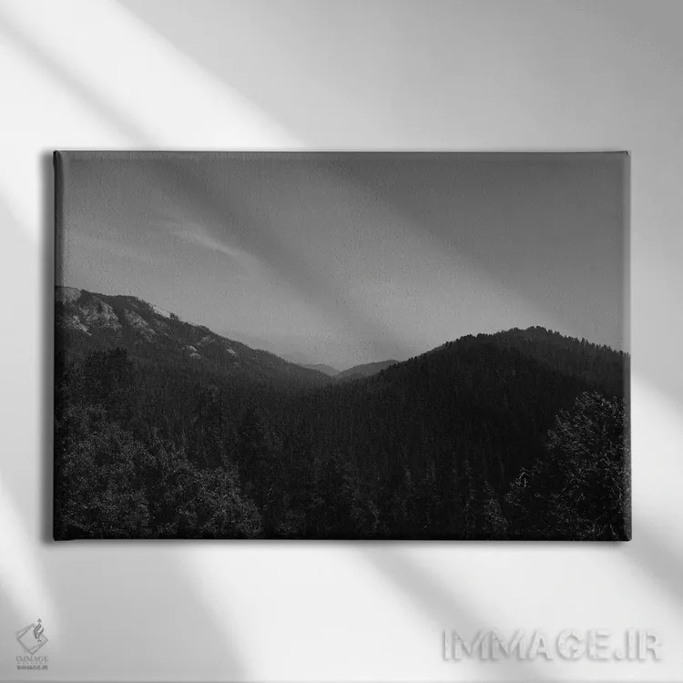 تابلو پارک ملی سکویا دوم اثر بثانی یانگ - نمای روبهرو روی دیوار