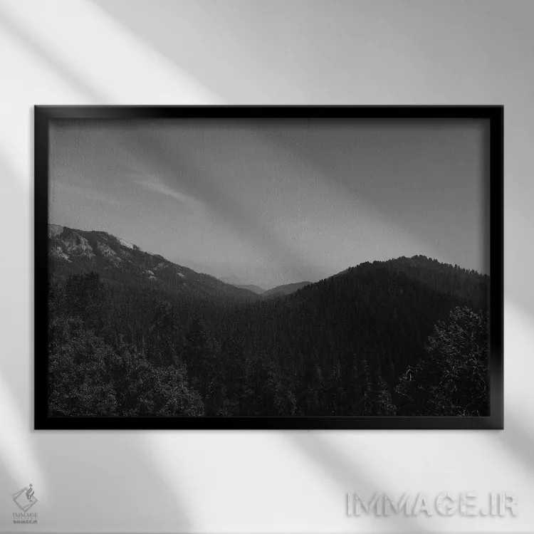 تابلو پارک ملی سکویا دوم اثر بثانی یانگ - نمای قابدار مشکی