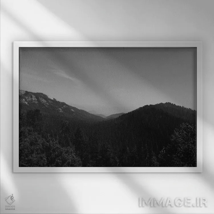 تابلو پارک ملی سکویا دوم اثر بثانی یانگ - نمای قابدار سفید