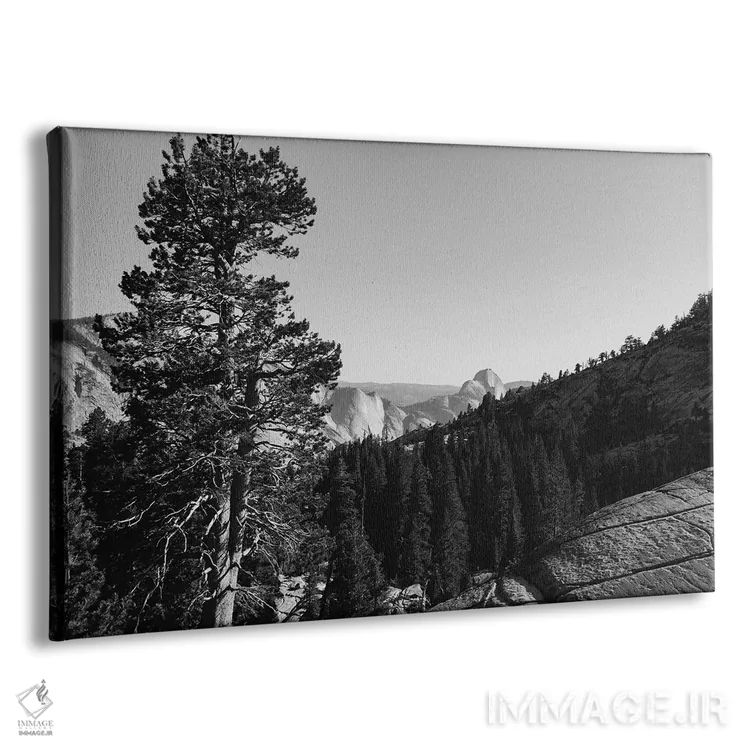 تابلو Yosemite National Park,نقطه اولمستد - پارک ملی یوسیمیتی اثر بثانی یانگ - نمای پرسپکتیو محصول