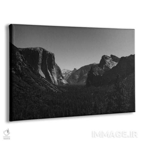 تابلو Yosemite National Park IV,دورنمای تونلی - پارک ملی یوسیمیتی چهارم اثر بثانی یانگ - نمای پرسپکتیو محصول