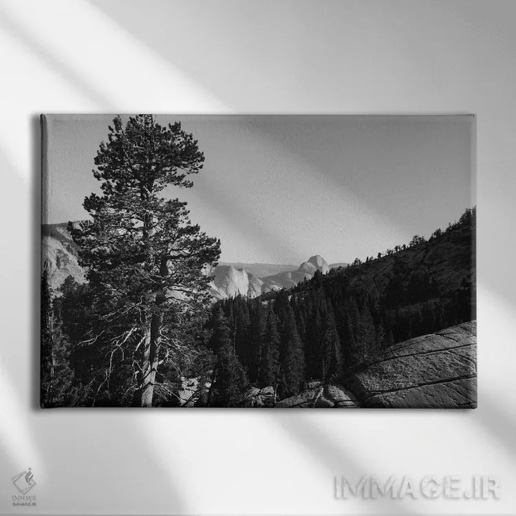 تابلو Yosemite National Park,نقطه اولمستد - پارک ملی یوسیمیتی اثر بثانی یانگ - نمای روبهرو روی دیوار