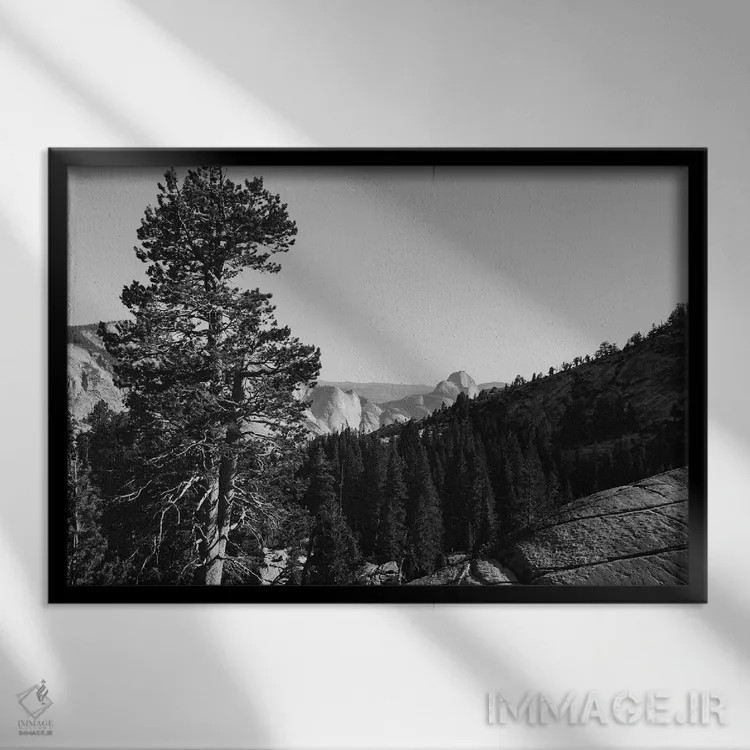 تابلو Yosemite National Park,نقطه اولمستد - پارک ملی یوسیمیتی اثر بثانی یانگ - نمای قابدار مشکی