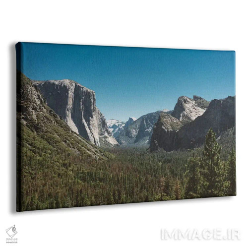 تابلو Yosemite National Park V,دورنمای تونلی - پارک ملی یوسیمیتی پنجم اثر بثانی یانگ - نمای پرسپکتیو محصول