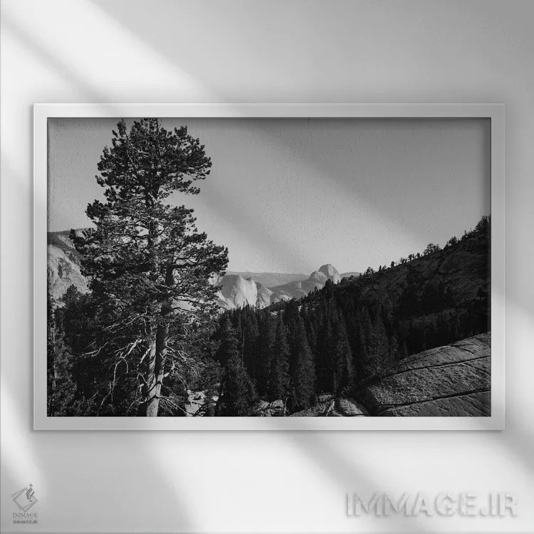تابلو Yosemite National Park,نقطه اولمستد - پارک ملی یوسیمیتی اثر بثانی یانگ - نمای قابدار سفید