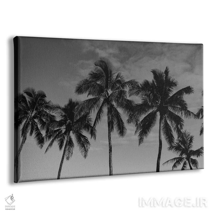 تابلو نخلهای هاوایی اثر بثانی یانگ - نمای پرسپکتیو محصول