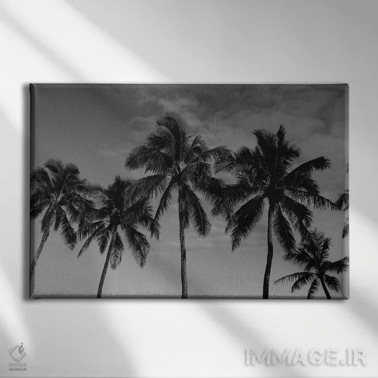 تابلو نخلهای هاوایی اثر بثانی یانگ - نمای روبهرو روی دیوار