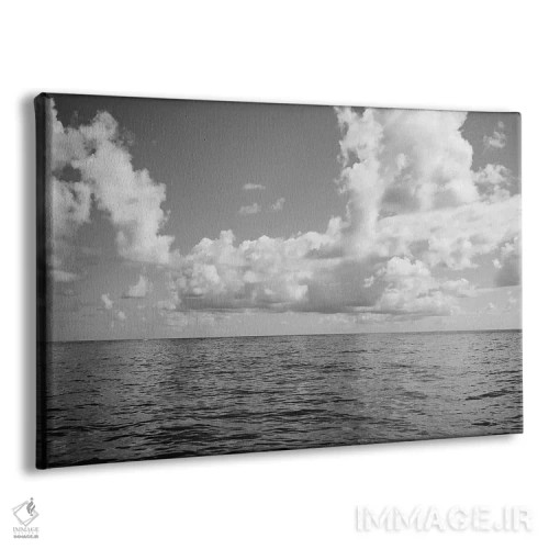 تابلو نمای اقیانوس سیاه و سفید اثر بثانی یانگ - نمای پرسپکتیو محصول