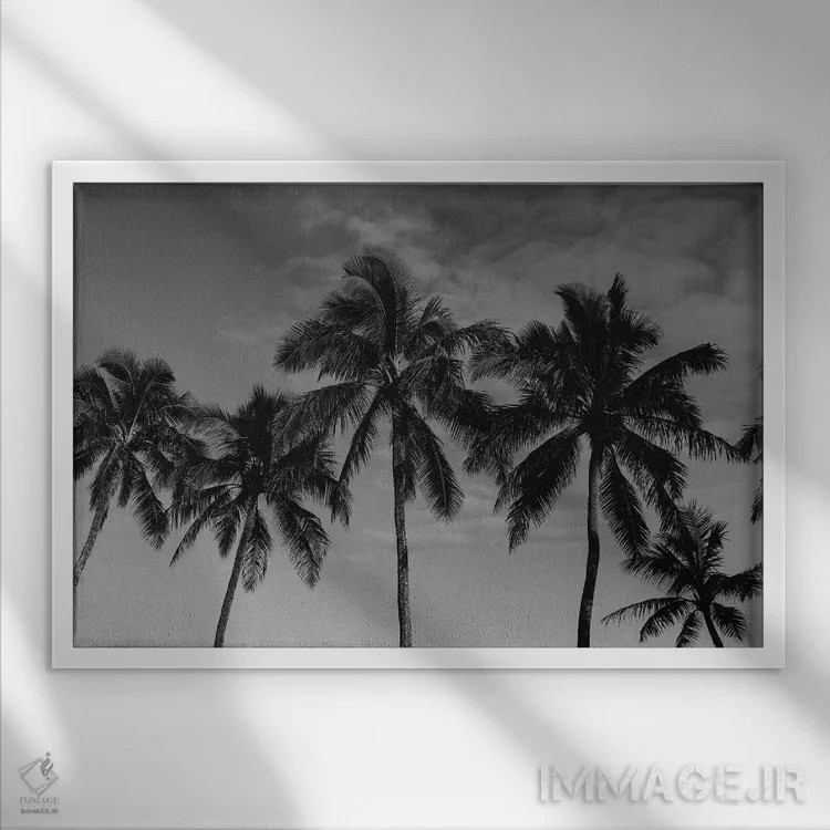 تابلو نخلهای هاوایی اثر بثانی یانگ - نمای قابدار سفید