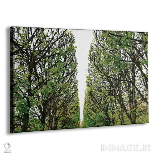 تابلو باغ پاریس ۶ اثر بثانی یانگ - نمای پرسپکتیو محصول