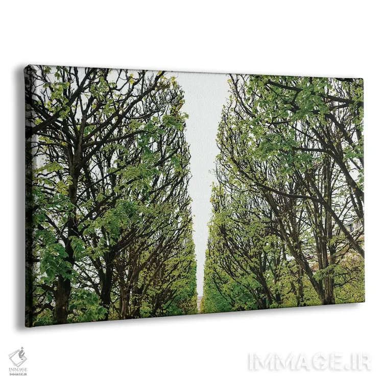 تابلو باغ پاریس ۶ اثر بثانی یانگ - نمای پرسپکتیو محصول