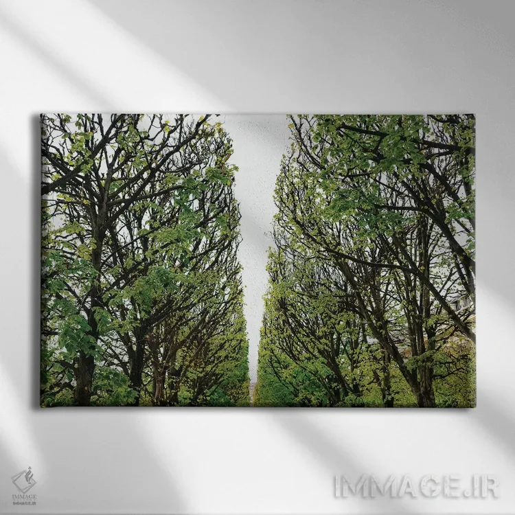 تابلو باغ پاریس ۶ اثر بثانی یانگ - نمای روبهرو روی دیوار