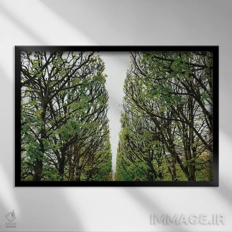 تابلو باغ پاریس ۶ اثر بثانی یانگ - نمای قابدار مشکی