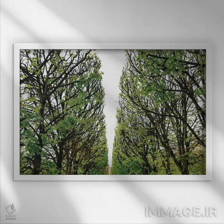 تابلو باغ پاریس ۶ اثر بثانی یانگ - نمای قابدار سفید