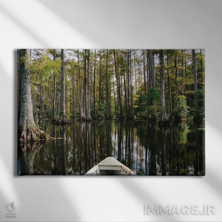 تابلو قایق در باغ سرو چارلستون III اثر بثانی یانگ - نمای روبهرو روی دیوار