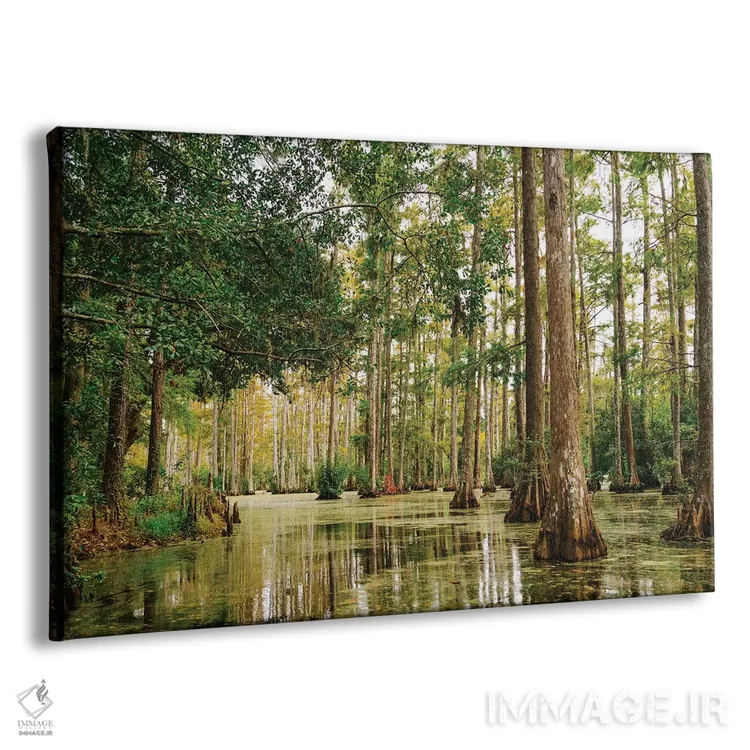 تابلو باغ سرو چارلستون XLI اثر بثانی یانگ - نمای پرسپکتیو محصول