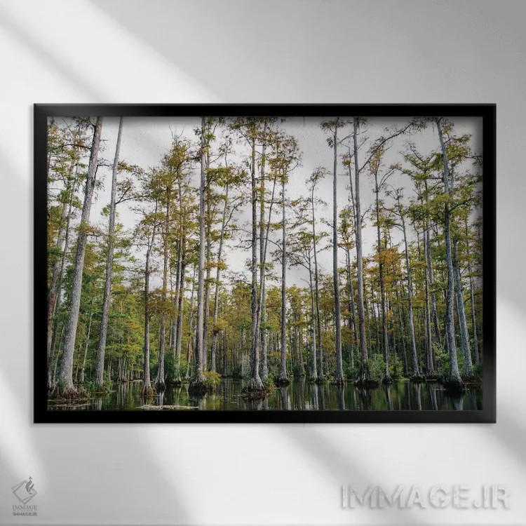 تابلو باغ سرو چارلستون LII اثر بثانی یانگ - نمای قابدار مشکی