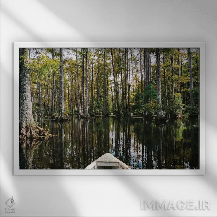 تابلو قایق در باغ سرو چارلستون III اثر بثانی یانگ - نمای قابدار سفید