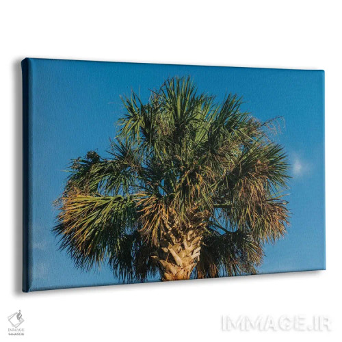 تابلو درخت نخل چارلستون اثر بثانی یانگ - نمای پرسپکتیو محصول