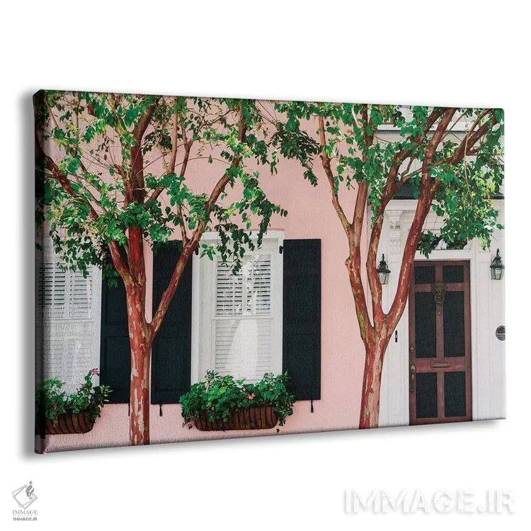 تابلو صورتی چارلستون XV اثر بثانی یانگ - نمای پرسپکتیو محصول