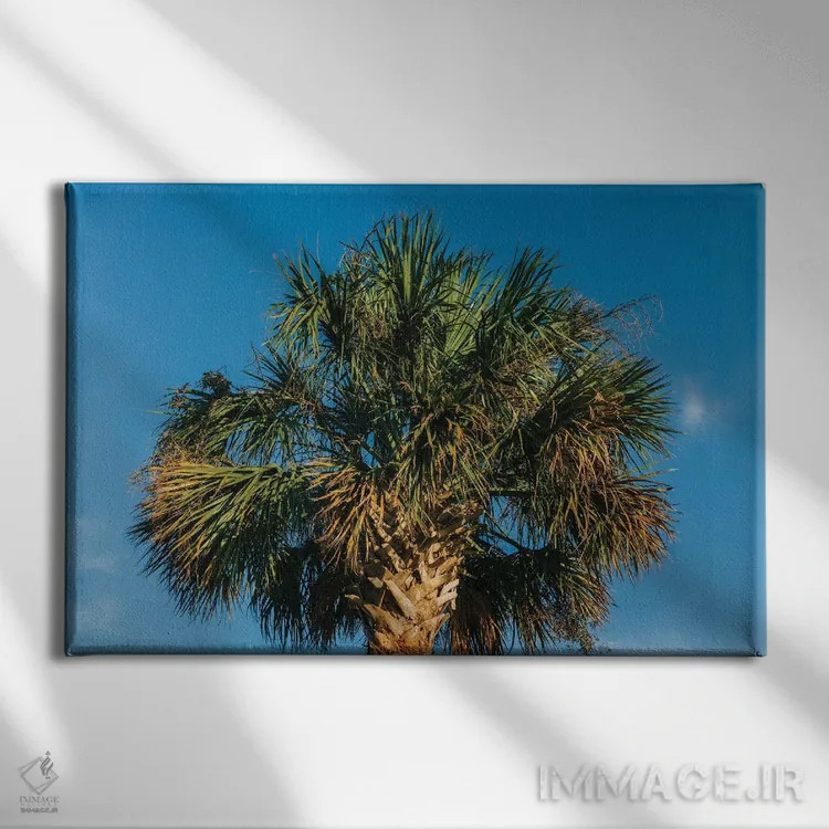 تابلو درخت نخل چارلستون اثر بثانی یانگ - نمای روبهرو روی دیوار