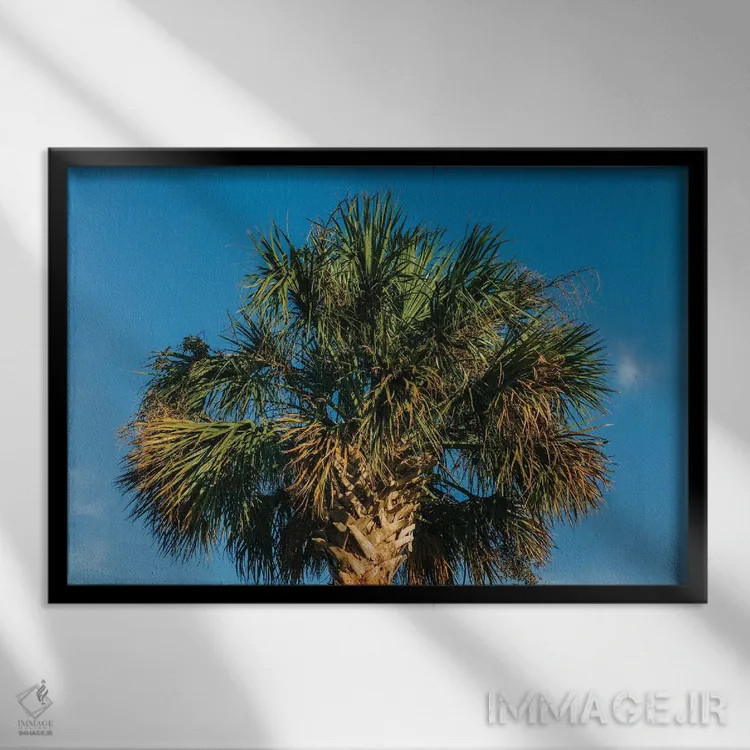 تابلو درخت نخل چارلستون اثر بثانی یانگ - نمای قابدار مشکی