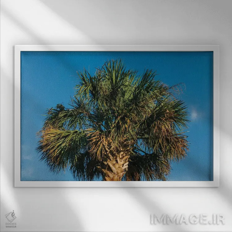 تابلو درخت نخل چارلستون اثر بثانی یانگ - نمای قابدار سفید