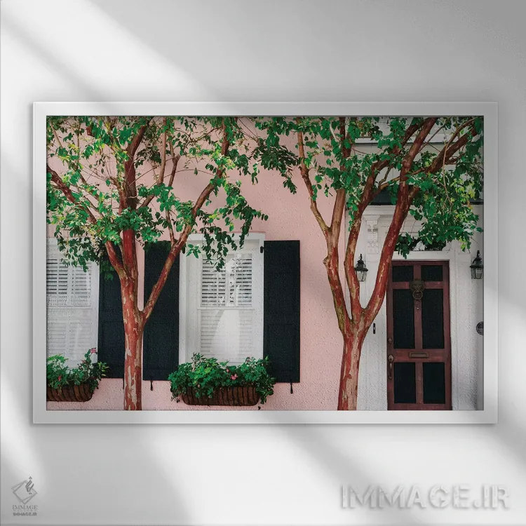 تابلو صورتی چارلستون XV اثر بثانی یانگ - نمای قابدار سفید