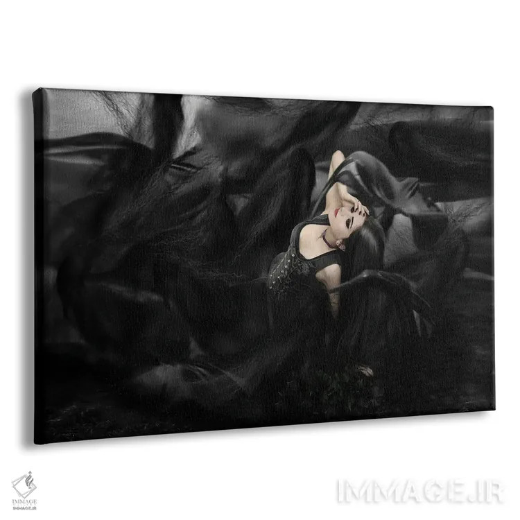 تابلو تاریکی اثر بابت ون دن برگ - نمای پرسپکتیو محصول