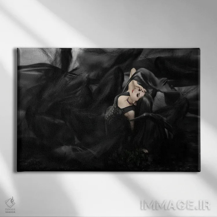 تابلو تاریکی اثر بابت ون دن برگ - نمای روبهرو روی دیوار