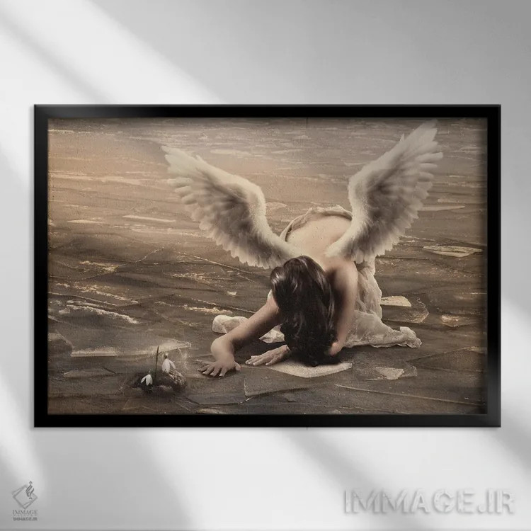 تابلو گلهای برفی اثر بابت ون دن برگ - نمای قابدار مشکی