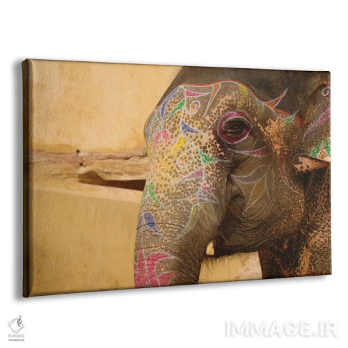تابلو فیل هندوستان اثر بابت ون دن برگ - نمای پرسپکتیو محصول