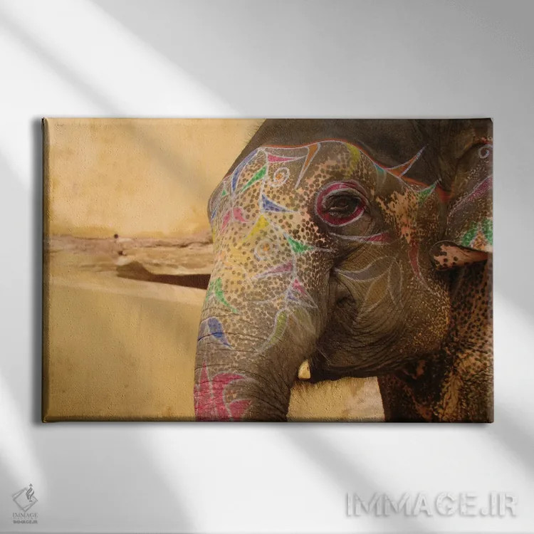 تابلو فیل هندوستان اثر بابت ون دن برگ - نمای روبهرو روی دیوار