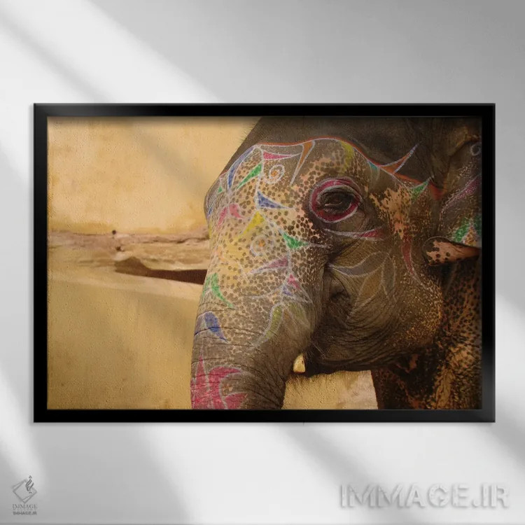 تابلو فیل هندوستان اثر بابت ون دن برگ - نمای قابدار مشکی