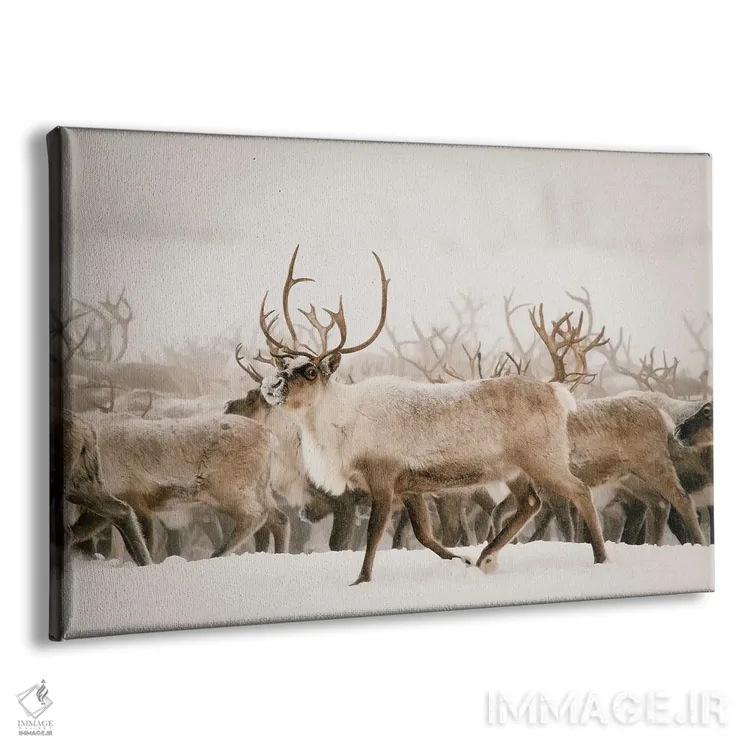 تابلو فیرث اثر کریستا برادوی - نمای پرسپکتیو محصول