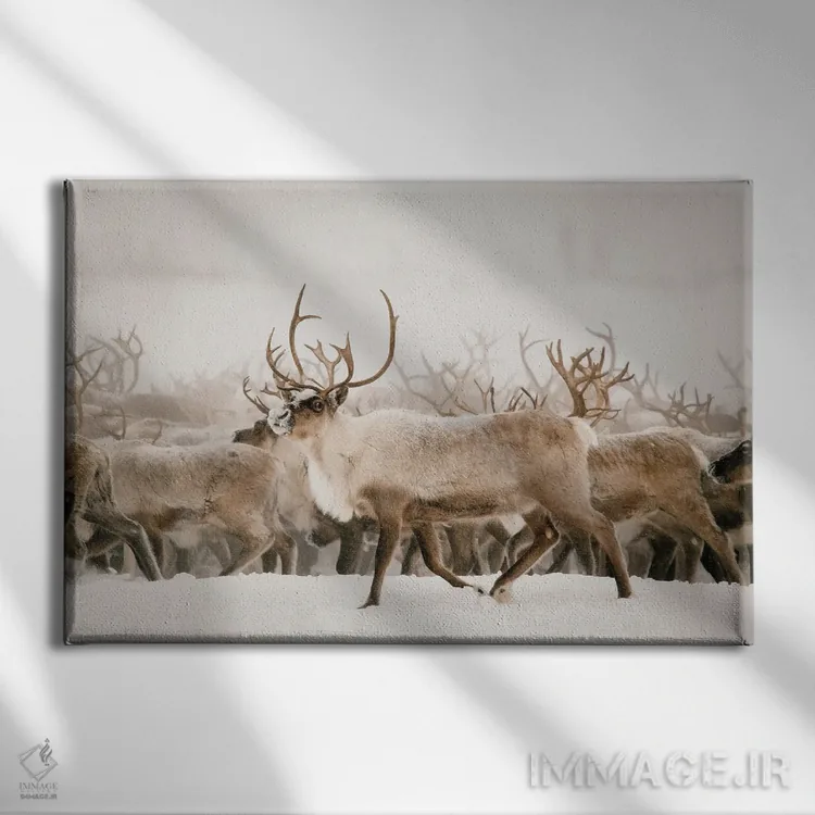 تابلو فیرث اثر کریستا برادوی - نمای روبهرو روی دیوار