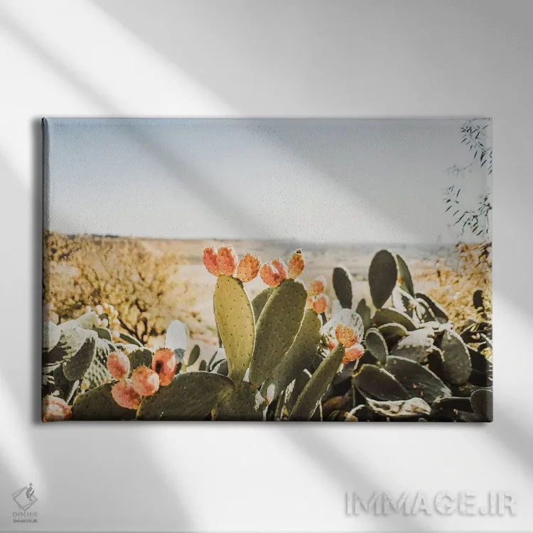 تابلو اِسترو اثر کریستا برادوی - نمای روبهرو روی دیوار