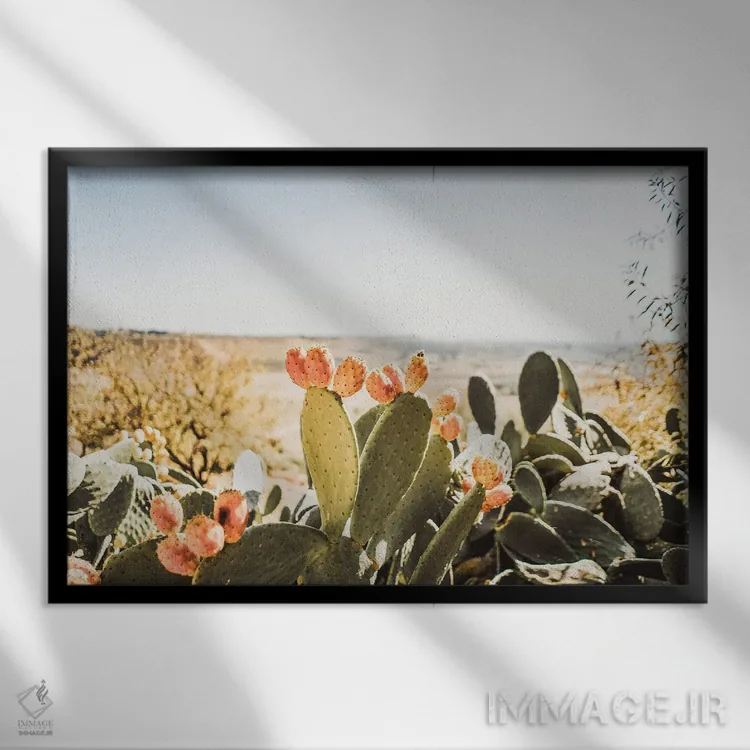 تابلو اِسترو اثر کریستا برادوی - نمای قابدار مشکی