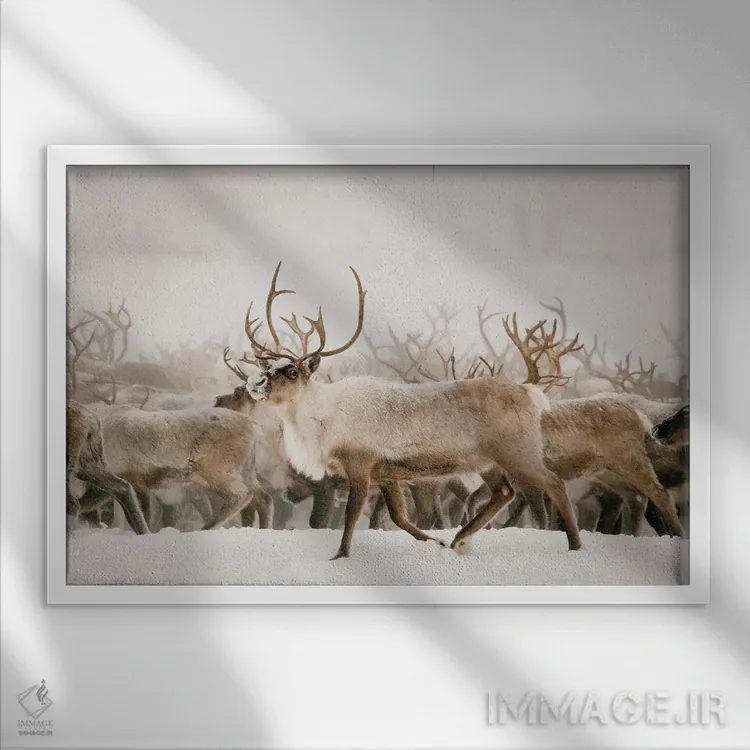 تابلو فیرث اثر کریستا برادوی - نمای قابدار سفید