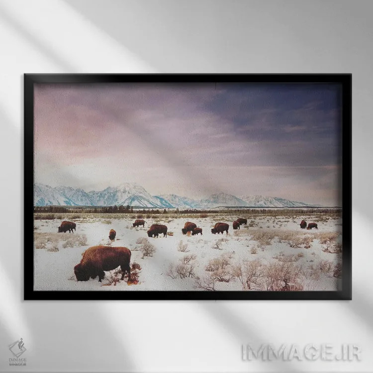 تابلو گلههای تتون اثر آنی بیلی آرت (هنرمند) - نمای قابدار مشکی